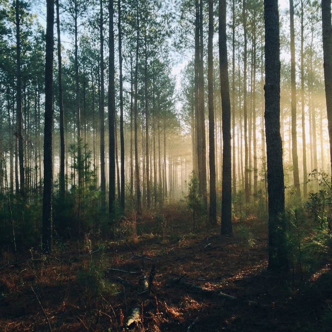 steven kamenar MMJx78V7xS8 unsplash uai